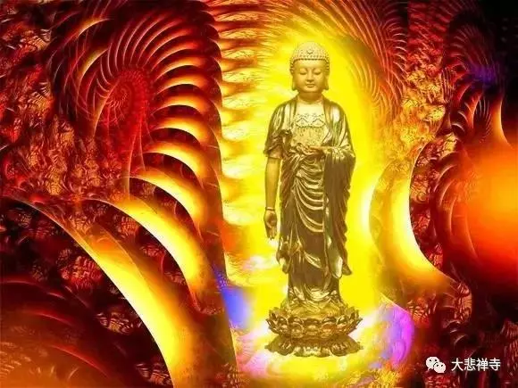 請用七粒米,開始2018年吉祥年,不止十方諸佛保佑你,無量眾生都會報答你!