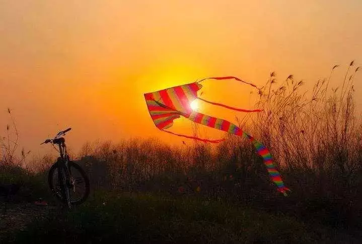 生孩子是任務,養孩子是義務,靠孩子是錯誤!一個不得不看的故事...