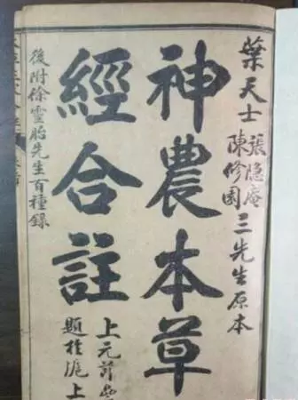 《延禧攻略》葉大夫來頭大 他發明川貝枇杷