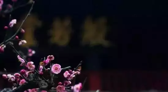 108顆佛珠的含義,每一顆都美成了一世輪回!