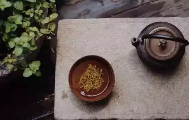 體內陰性眾生越多,你就會衰老的越快!