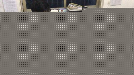 女子酒駕追尾遭「敲詐」5千元怒報警:寧可進看守所