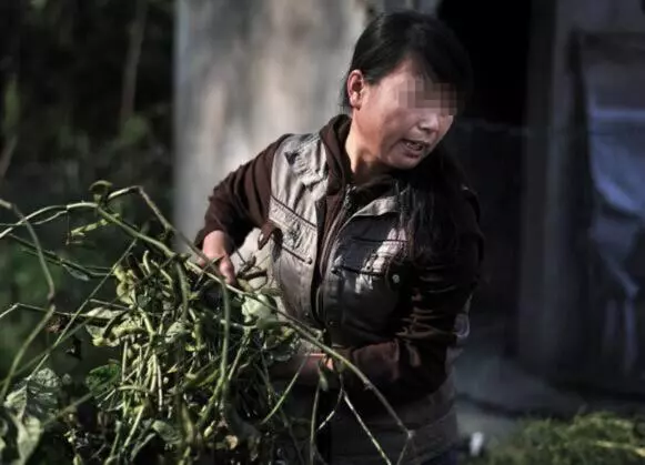 老媽讓我嫁有錢傻子,無奈答應,訂婚宴上我覺得賺了