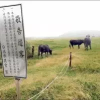 中獎了!他偷走朋友中獎發票兌領被逮