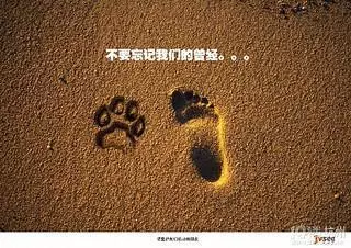 狗狗被人割掉鼻子,低著腦袋,拚命在垃圾堆找食物!
