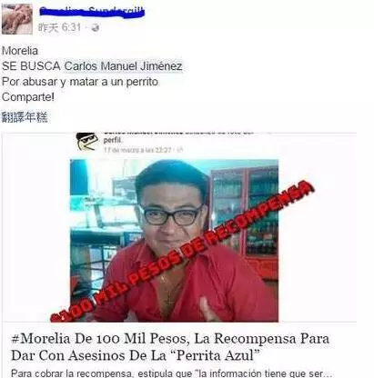 狗狗全身藍色油漆,竟被主人虐待致死,7萬網友簽署了「請願書」肉搜變態男!