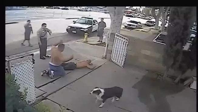 警察持槍警告小偷,路過的狗狗聽到警察的命令,迅速的做了這個動作,笑噴路人XD