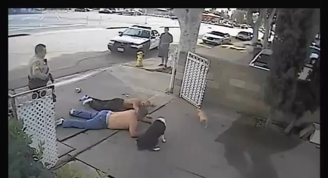 警察持槍警告小偷,路過的狗狗聽到警察的命令,迅速的做了這個動作,笑噴路人XD