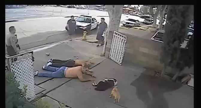 警察持槍警告小偷,路過的狗狗聽到警察的命令,迅速的做了這個動作,笑噴路人XD