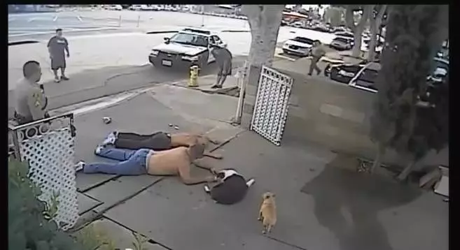 警察持槍警告小偷,路過的狗狗聽到警察的命令,迅速的做了這個動作,笑噴路人XD
