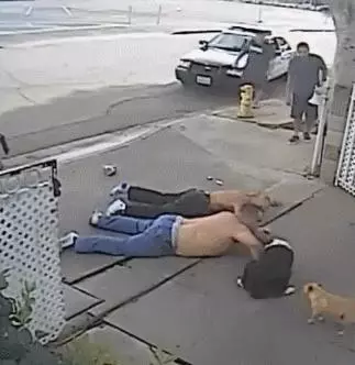 警察持槍警告小偷,路過的狗狗聽到警察的命令,迅速的做了這個動作,笑噴路人XD