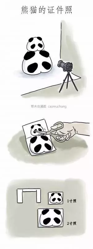 朋友圈裡尺度最大的漫畫,你看懂了幾張