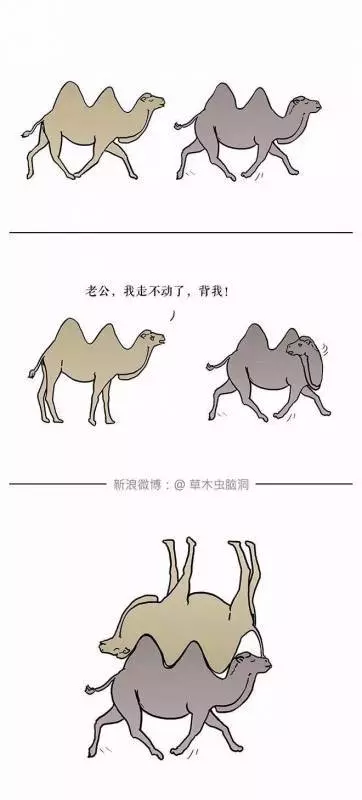 朋友圈裡尺度最大的漫畫,你看懂了幾張