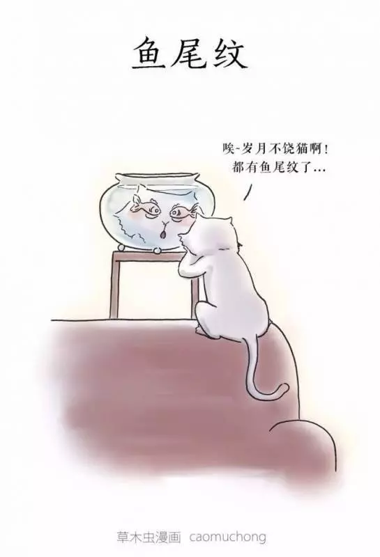 朋友圈裡尺度最大的漫畫,你看懂了幾張