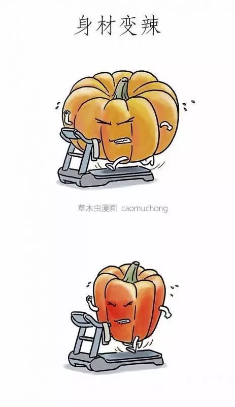 朋友圈裡尺度最大的漫畫,你看懂了幾張