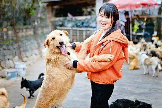 路邊撿到的小土狗被人說是不好的兆頭,狗狗聽到後自己跑到外面,偷偷的哭泣