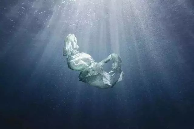 震撼人心的18張獲獎作品 專治疲憊焦慮的靈魂
