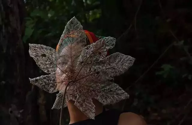 震撼人心的18張獲獎作品 專治疲憊焦慮的靈魂