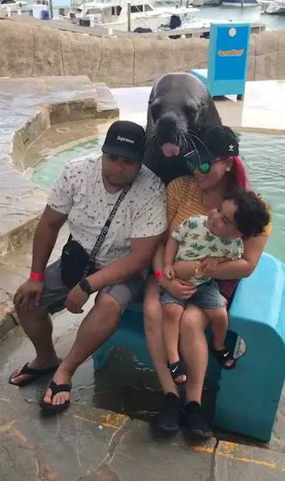 這隻海豹超搶鏡 3連拍男童看傻