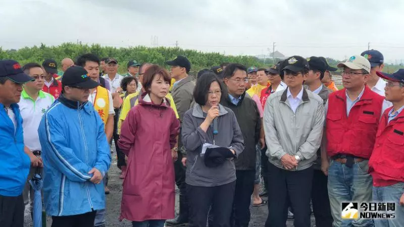 小英又打臉?一句話道破「兩大黨差別」 網狂讚:超中肯
