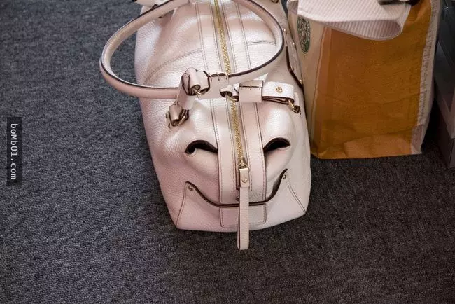 只要你留心留意一下身邊的事物,你會發現…其實每樣東西都充滿生命力。
