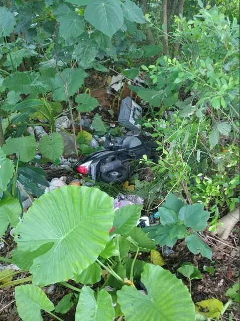 奇蹟命大!7月出門…他騎車暴沖「機車跳下山坡自殺」 怎知鄉民留言狂歪:幫QQ