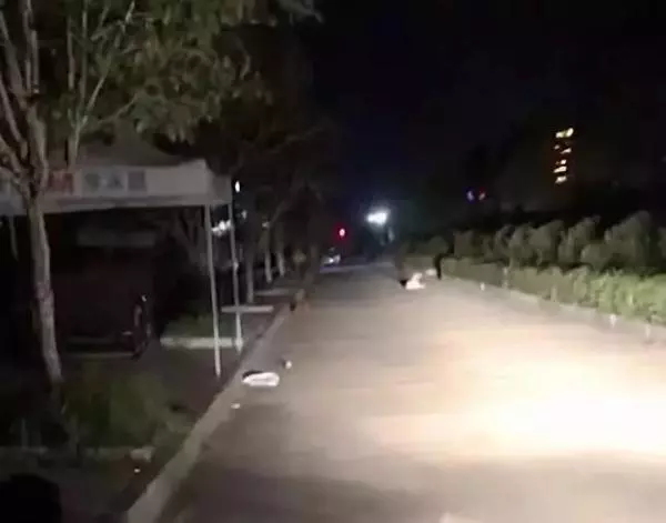 四條惡狗凌晨撕咬拾荒老人:好心人揮棍施救,警方正追查犬主
