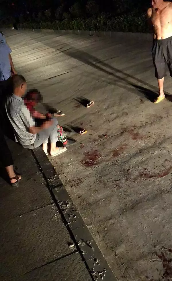 四條惡狗凌晨撕咬拾荒老人:好心人揮棍施救,警方正追查犬主
