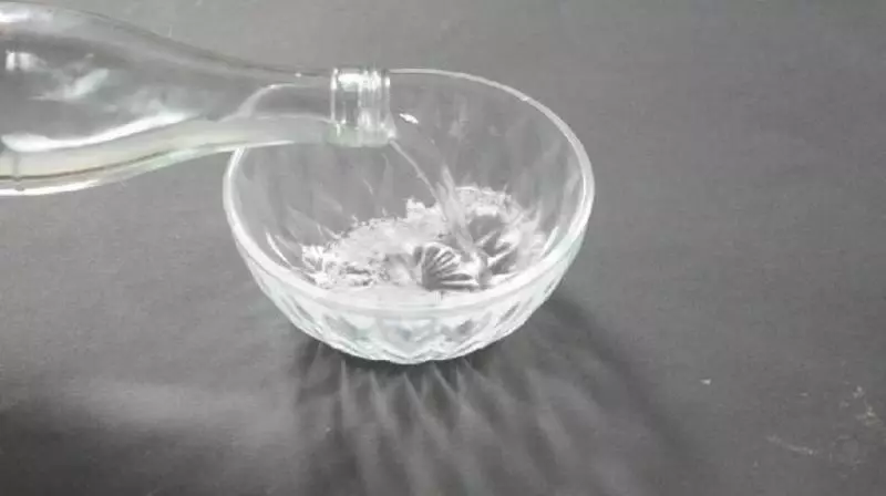 不用噴蚊油!房間裡放「這個」!蚊子再也不敢靠近了!