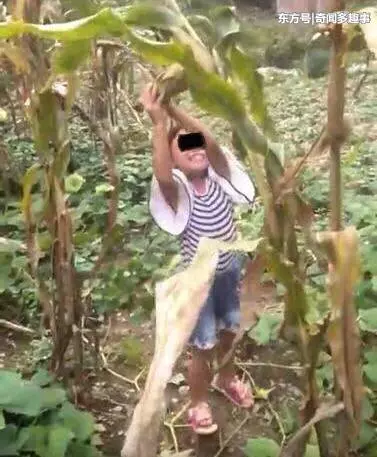 8歲繼女慘被後媽殺害,生前慘被虐待,全身是傷無一完膚~狠心後母四個月前才誕下男嬰……