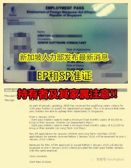 新加坡人力部發布最新消息、EP和SP准證持有者及其家屬注意