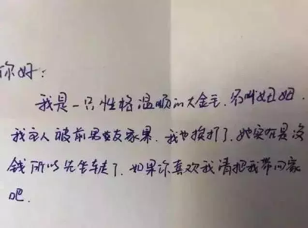 火車站偶遇一隻流浪金毛,下一秒看到小紙條後,果斷帶回家收養!