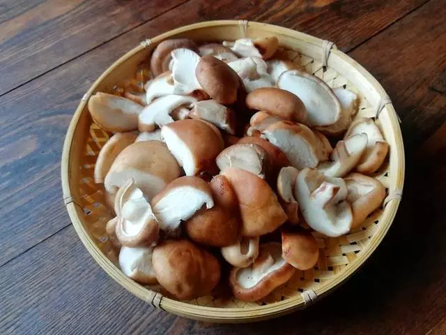 香菇這樣做太好吃了,外面吃不到,一點肉也沒放,好吃到停不下來!