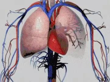 每天做100下,藏醫泰斗85歲仍血管幹乾淨淨,走路健步如飛