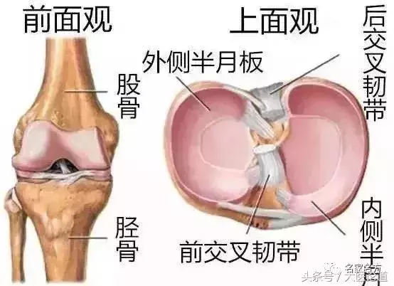 每天做100下,藏醫泰斗85歲仍血管幹乾淨淨,走路健步如飛