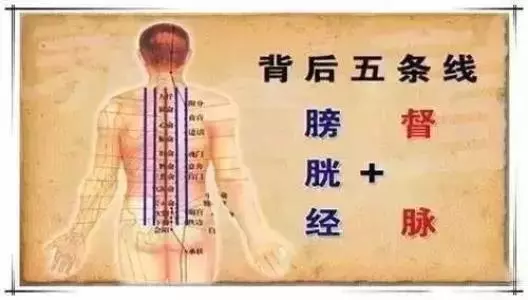 身體狀態好不好,看看後背全知曉!