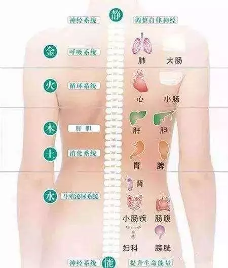身體狀態好不好,看看後背全知曉!