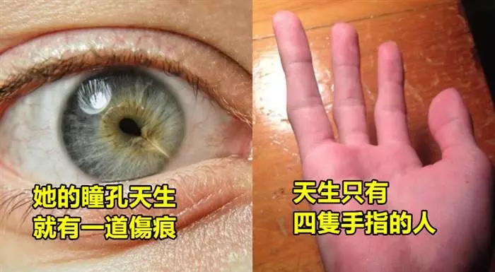 盤點24個看一眼都覺得「超不可思議的奇人異士」