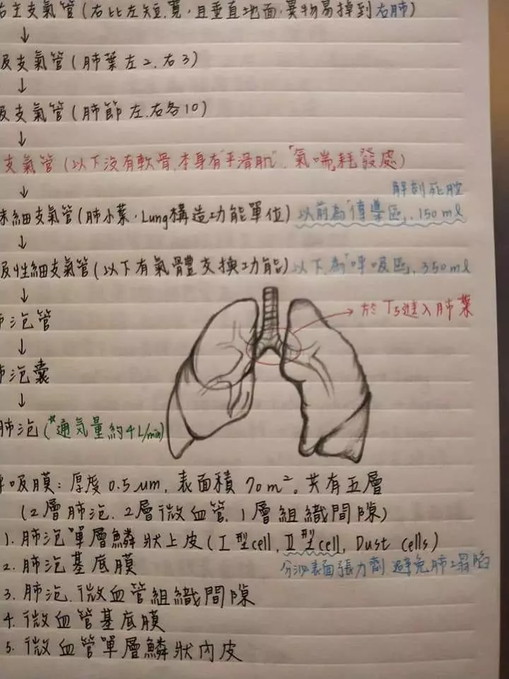 老爸出賣女兒「護理筆記」引暴動 網友太熱情決定加碼「本尊美照」