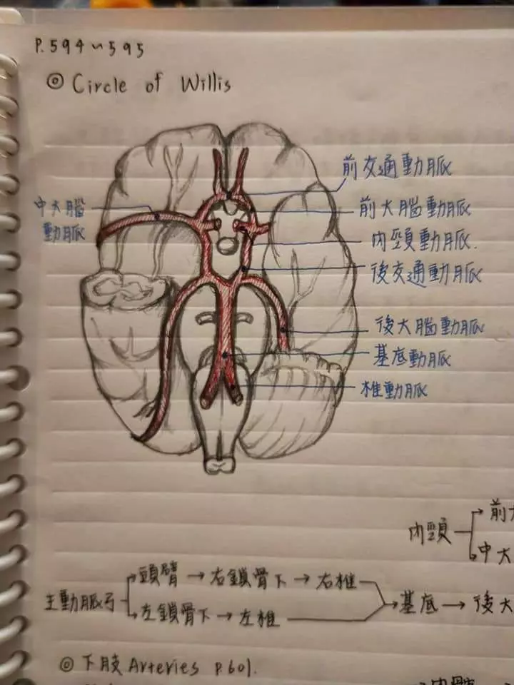 老爸出賣女兒「護理筆記」引暴動 網友太熱情決定加碼「本尊美照」