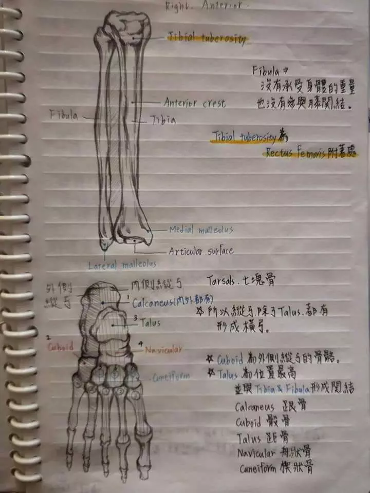 老爸出賣女兒「護理筆記」引暴動 網友太熱情決定加碼「本尊美照」