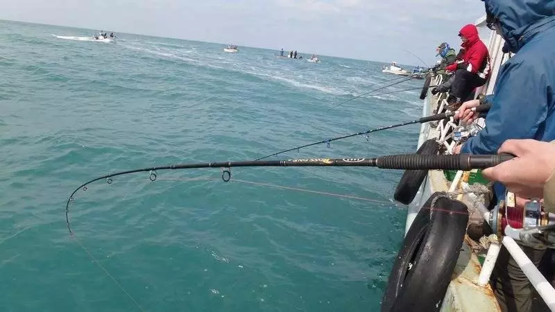 這男人釣魚時發現水底有一張詭異的「笑臉」慢慢靠近...悲劇就在瞬間發生!影片記錄下這一恐怖的瞬間!……