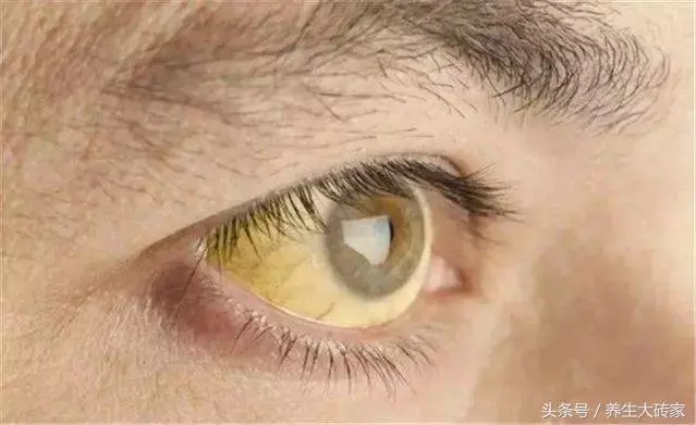 五臟好不好,看一處就知道,做好3件事,養好五臟,更健康!