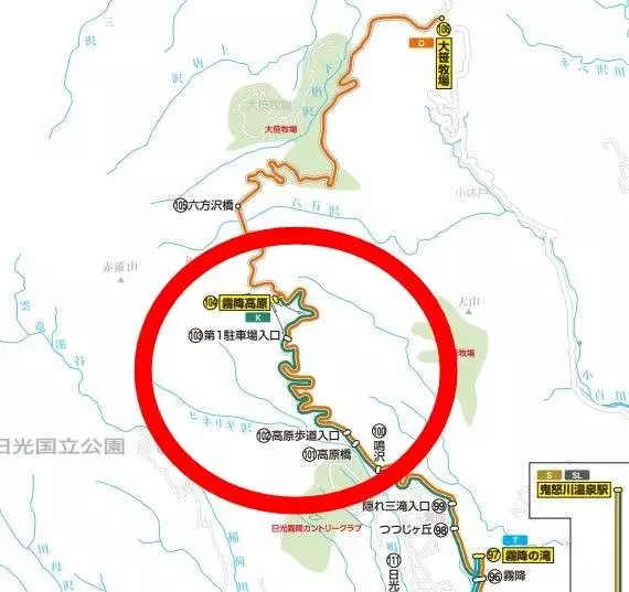 公車司機在九彎十八拐的下坡路狂飆 全網看呆:拓海 4ni?這過彎太扯了~