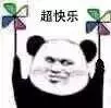 狗狗也吸貓?你不知道他們才是一家人!