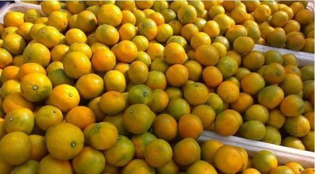 肝臟「最愛」的5種食物,吃進去的肝毒,都能吃出來