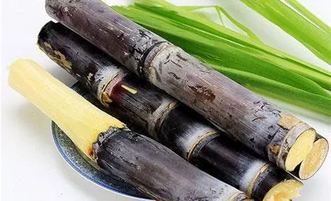 20條健康吃飯的黃金標準,你達標了嗎?