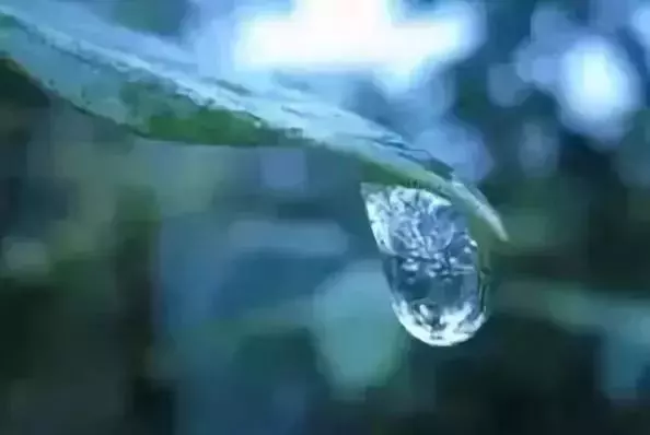 佛說:放不下,是不夠痛