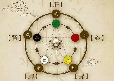 心、肝、脾、肺、腎的毒藏在哪,你知道嗎?