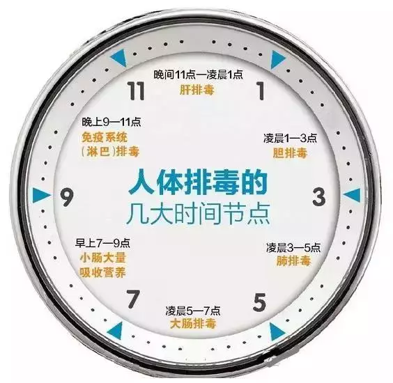 心、肝、脾、肺、腎的毒藏在哪,你知道嗎?